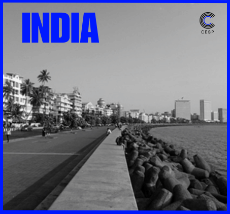 INDIA INDIA